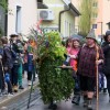 1650623453_zeleni_jurij_lasko_026.jpg