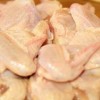 1480351521_salmonela.jpg
