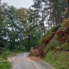 1730464163_cesta_plaz.jpg