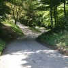 1590409999_sd-črna_gora.jpg
