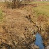 1581610443_kg_rače_potok_Zabnik.jpg