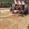 1623778185_sd-mladi_in_kemtijstvo4.jpeg