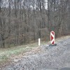 1554213177_mh-kosajnč.jpg
