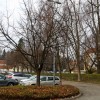1640262100_cg_stanovanja_potrceva.jpg