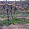 1464009030_mv-pozeba.jpg