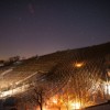1547120127_bp_ledena_trgatev.jpeg