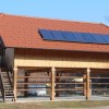 1614004776_mz_kozolec_strnisce.jpg
