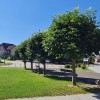 1704985015_sd-ssredisče.jpg