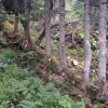 1568217474_71t-mozaik1.jpeg