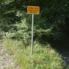 1559818096_gozdna_cesta.jpeg