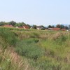 1596455832_mz_rogoznica_suha.jpg