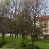 1678980055_cg_neprofitna_ptuj.jpg