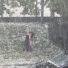 1551360130_vreme.jpeg