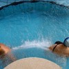 1594651673_terme.jpeg