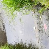 1530535143_mv-odplake_kidričevo.jpg