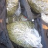 1484746870_droga.jpg
