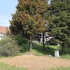 1618833786_ns-bazen_po_zasutju_2021.jpg