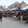 1522663137_ml-cvetni_sejem.jpg