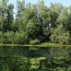 1515324472_cg_laguna_1.jpg