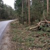 1580739829_kg_starse_marjeta_-_dravski_dvor.jpg