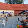 1599055832_kg_festival_mladi_.jpg