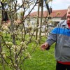 1618231406_cg_pozeba_pomlad_1.jpg