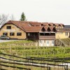 1708952876_sd-obisk_slovenskih_goric1.jpg