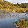 1659602866_m_podgorelec_naslovnica_ht6110_ht91eo_kacji_potocnik_20160806_194025_eacca7fea1f889e5620a