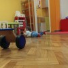 1568905050_vrtec.jpeg