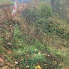 1660230387_plaz.jpg