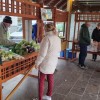 1700141199_ek_trznica_gorisnica_1.jpg