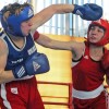 1485341087_cg_boks_slovenska_liga.jpg