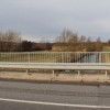 1613059379_mz_pesnica.jpg