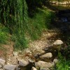 1659029430_cg_susa_prazna_struga.jpg