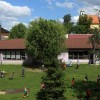 1534430819_cg_vijolica.jpg