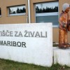 1467540463_zavetisce.jpg