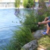 1658759559_mz_drava.jpg
