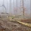 1547120191_Čg_razpis.jpg