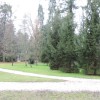 1644481666_mh-grajski_park_(1).jpg