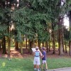 1627543884_gozdiček.jpg