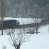 1485437658_ml-tovornjak.jpg