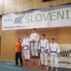 1538656743_judo_gorisnica_.jpg