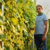 1600695556_cg_vinar_rebernisek_1.jpg