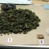 1546518023_mz-droga2.jpeg