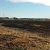 1499265750_pozar_markovci.jpg