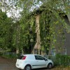 1559657021_cg_vicava_1.jpg