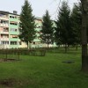1523889146_cg_neprofitna_stanovanja.jpg