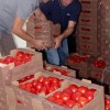 1548683006_trgovci-kmetje_(2).jpeg