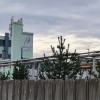 1610031799_kg_rače_albaugh.jpg