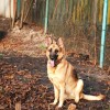 1570108815_veterinar.jpeg